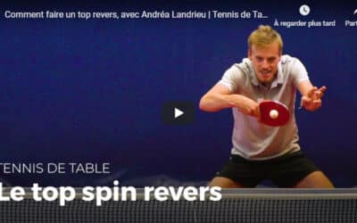 Top Spin Revers